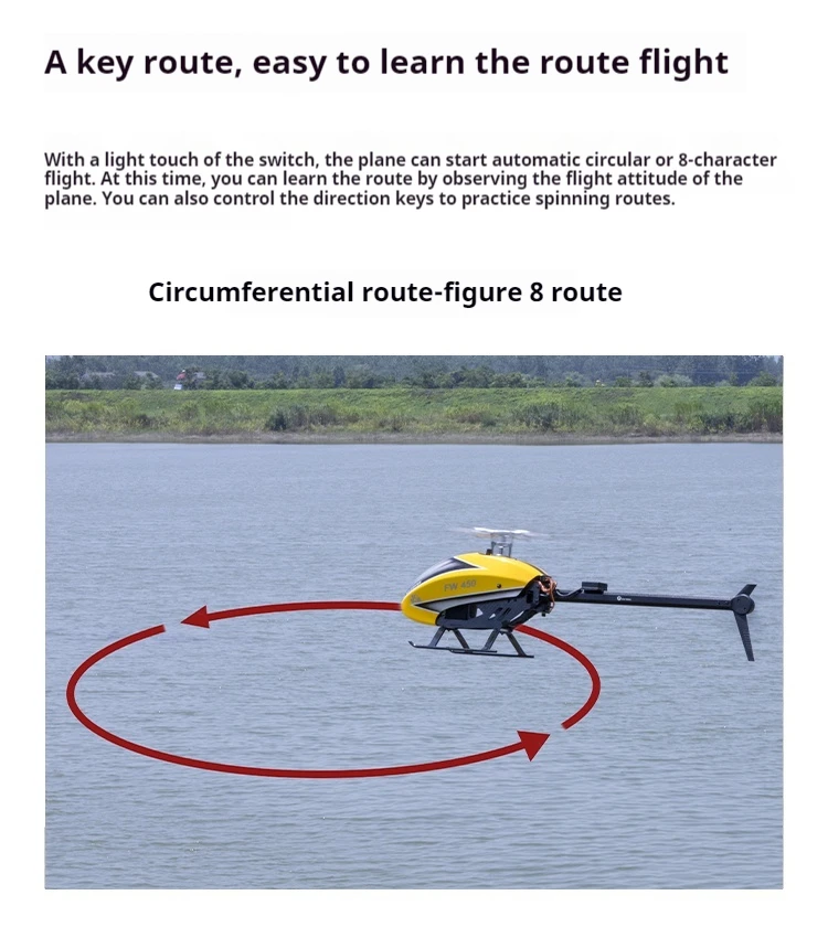 Flying Wing FW450 V2.5 10CH 3D Smart GPS Positioning Self-Stabilization Stunt H1 Flight Controller Brushless Motor Helicopter
